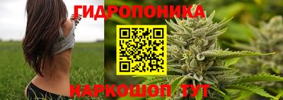 герыч Кингисепп
