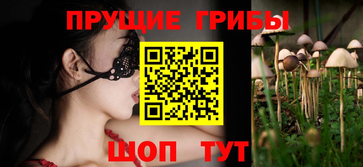 Кудрово  даркнет сайт  Вход с VPN  Галлюциногенные грибы Magic Shrooms  Галлюциногенные грибы мицелий 