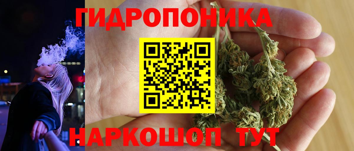 Кудрово  Канабис White Widow  Марихуана семена  Вход с VPN  Бошки марихуана сатива 