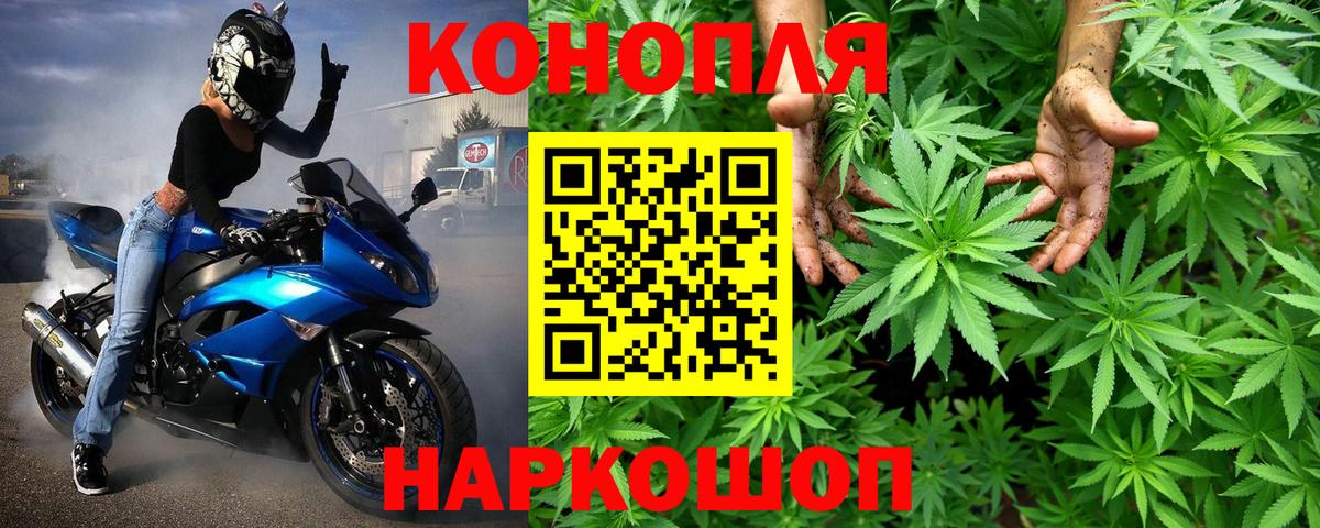 Бошки Шишки марихуана Кудрово